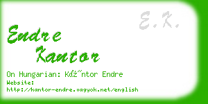 endre kantor business card